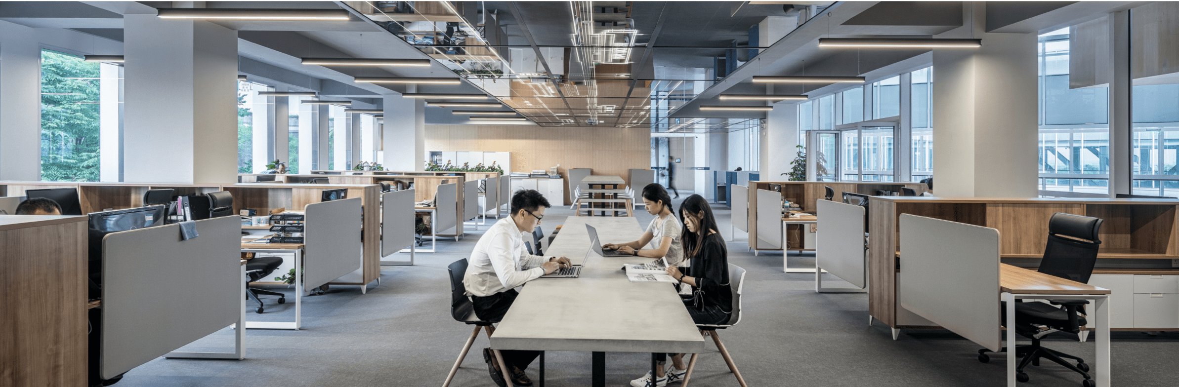 Professional equipment