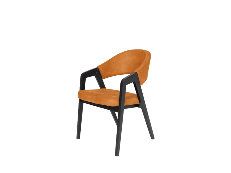 Trpezarijska stolica Swan