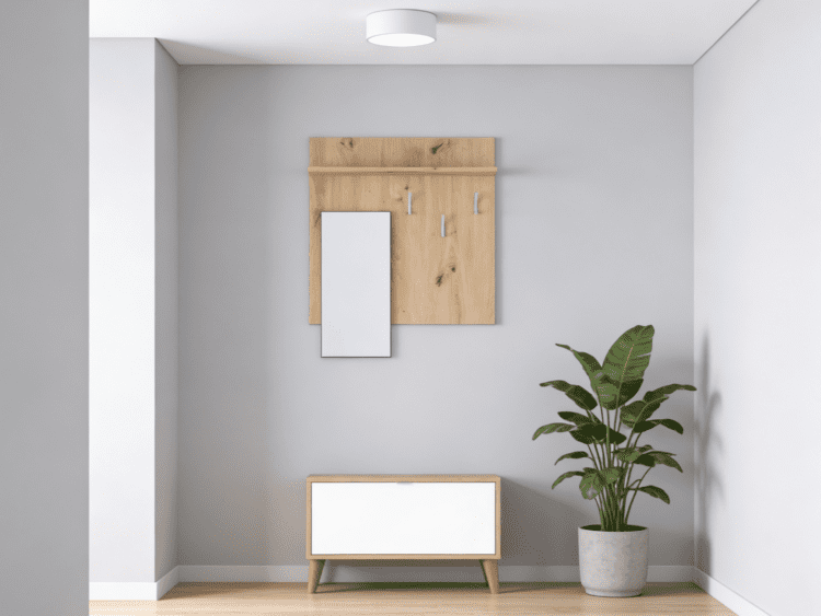Entryway scene: gray walls with a wood coat rack, a tall leaning mirror, a small wooden console, ceiling light, and a potted plant nearby.
